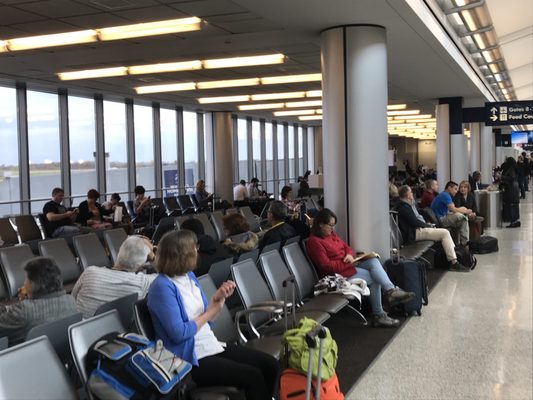 JetBlue by null