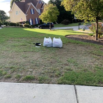 TruGreen Lawn Care - 2 large bags of weeds - Tree Services Near Me - Suwanee, Georgia