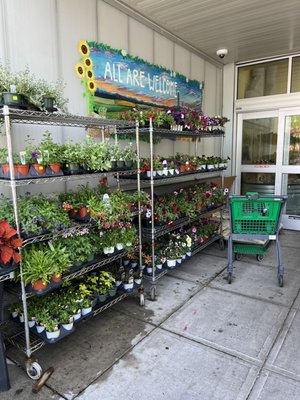 Honest Weight Food Co-op by null