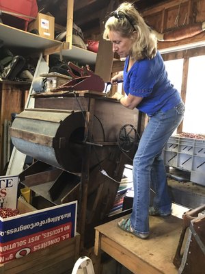 Cranberry Bog Tours by null