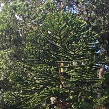 Wellington Botanical Gardens - Botanical Gardens Near Me - Wellington, WGN