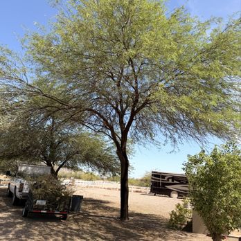 Mando Landscaping - Lawn Services Near Me - Casa Grande, Arizona Mando Landscaping - Lawn Services Near Me - Casa Grande, Arizona