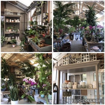 Ah Sam Floral - Greenhouse at Ah Sam Florist - Florists Near Me - San Mateo, California Ah Sam Floral - Greenhouse at Ah Sam Florist - Florists Near Me - San Mateo, California