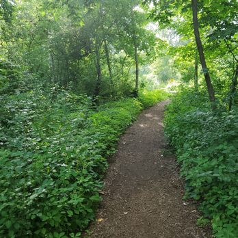 Endicott Park - Tennis Near Me - Brookfield, Wisconsin