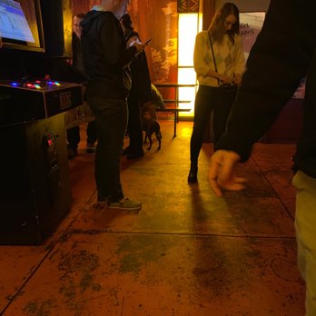 Add-a-Ball - Photo of said dog just walking around with no owner or leash - Arcades Near Me - Seattle, Washington