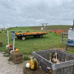 Diamond Hill Farm - A view from the other side of the pumpkin stand