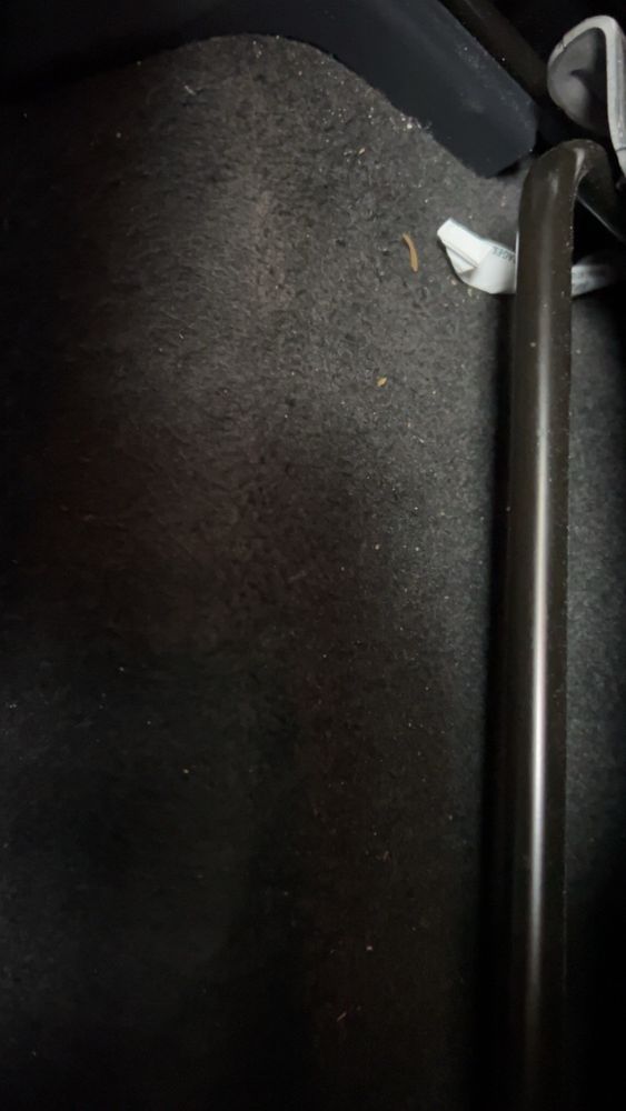 WOODBURY ROYAL CAR WASH Updated October 2024 22 Photos & 67 Reviews 446 Woodbury Rd