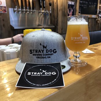 Stray Dog Brewing Company - Breweries Near Me - Orléans, Ontario