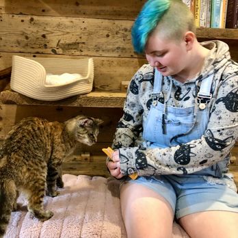 The Tipsy Tabby - They sell kitty treats which help get kitties closer to you! - Desserts Near Me - Newmarket, New Hampshire The Tipsy Tabby - They sell kitty treats which help get kitties closer to you! - Desserts Near Me - Newmarket, New Hampshire