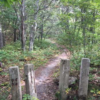 Old Colony Nature Pathway - Hiking Near Me - Provincetown, Massachusetts