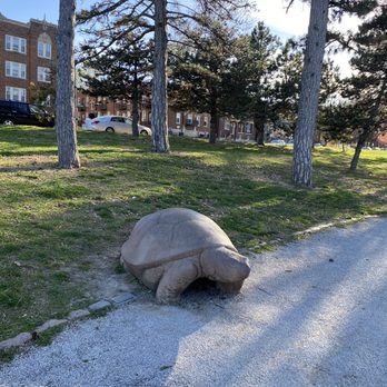 Turtle Playground - Parks Near Me - Saint Louis, Missouri