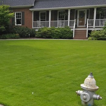 Weed Man - Lawn seeding: Maximum results can be improved when over seeding is combined with a top dressing service. - Pest Control Near Me - Purcellville, Virginia Weed Man - Lawn seeding: Maximum results can be improved when over seeding is combined with a top dressing service. - Pest Control Near Me - Purcellville, Virginia