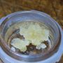 Photo of tier1extracts