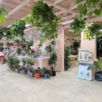 Terra Bella Nursery - Nurseries & Gardening Near Me - Del Mar, California