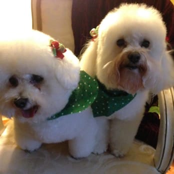 Diamond Bar Grooming - Pet Groomers Near Me - Diamond Bar, California