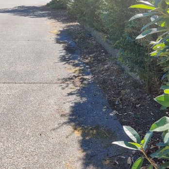 NF Junk Removal & Landscape - AFTER: Finally we can use our driveway again without running over bushes every time - Landscaping Near Me - Seattle, Washington NF Junk Removal & Landscape - AFTER: Finally we can use our driveway again without running over bushes every time - Landscaping Near Me - Seattle, Washington