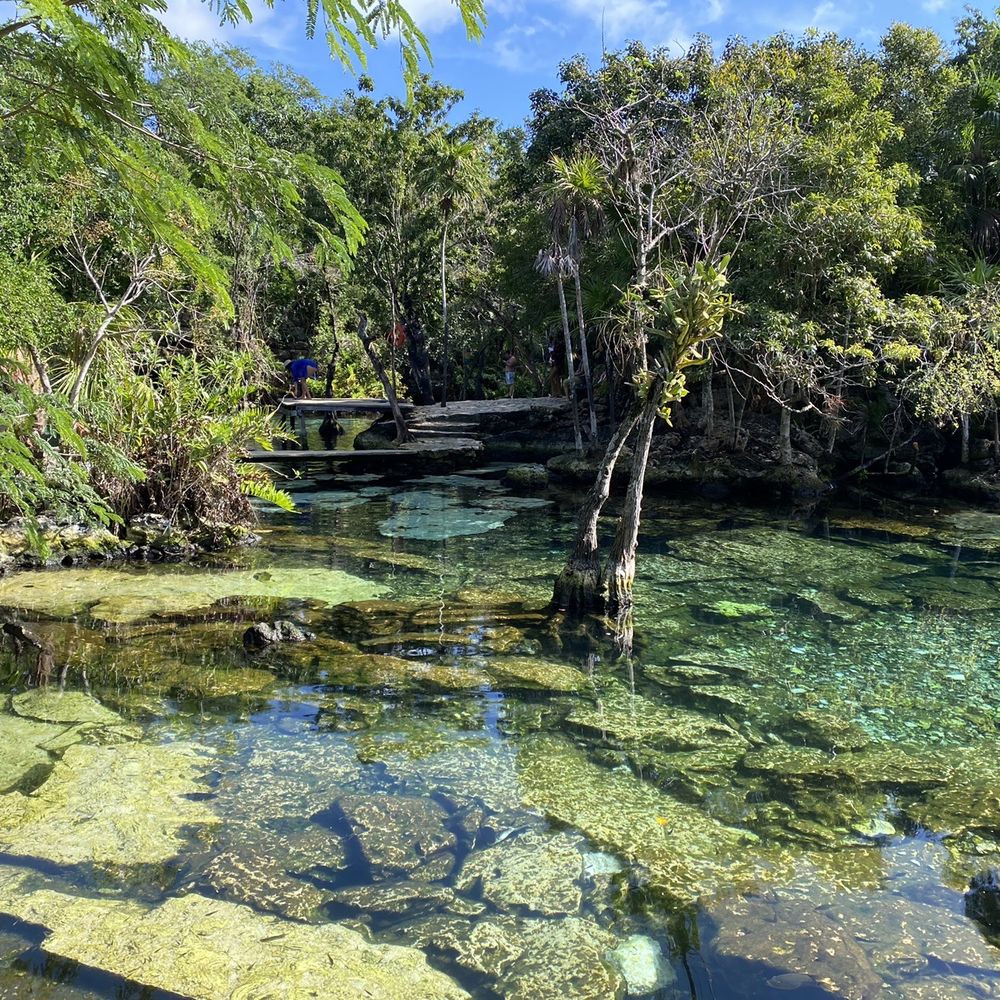 Cenote Azul - Lakes Near Me - Chacalal, ROO