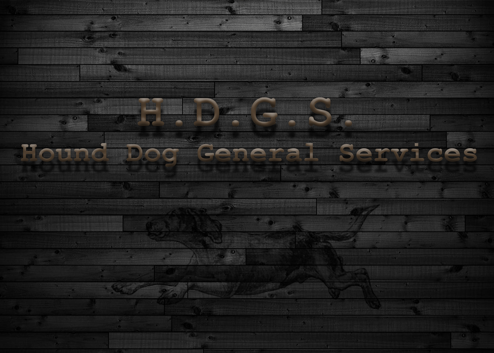 Hound Dog General Services - veterans service organization in Anchorage, AK