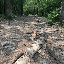 Pendleton King Park
