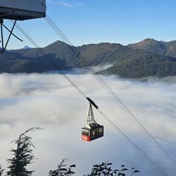 Goldbelt Tram - Tram ascending the foggy day.