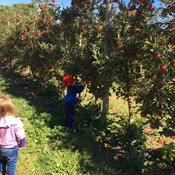 Hurds Family Farm - Fruits & Veggies Near Me - Modena, New York