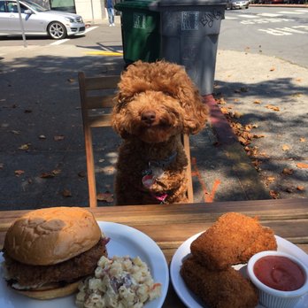 The Butchers Son - Classic Fried Chicken and mozzarella sticks - Salad Near Me - Berkeley, California