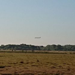 Amager og Kalvebod Fælled - Plane spotting!