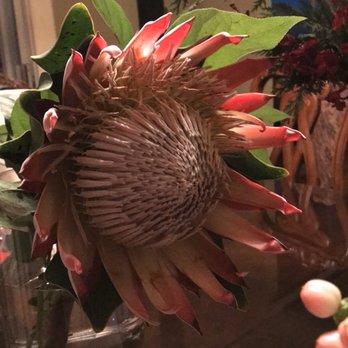 Magical Blooms - Flowers - Florists Near Me - Redondo Beach, California Magical Blooms - Flowers - Florists Near Me - Redondo Beach, California