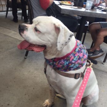 RJ's Cafe - Lola - Breakfast & Brunch Near Me - Dana Point, California RJ's Cafe - Lola - Breakfast & Brunch Near Me - Dana Point, California