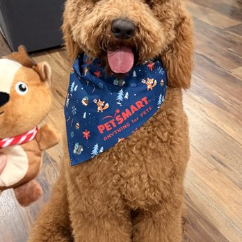 PetSmart - Nov. 30, 2025 - Pet Stores Near Me - Fort Worth, Texas