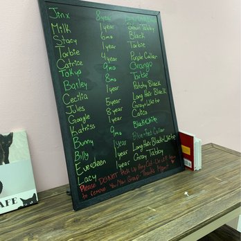Beans Cat Cafe - Chalkboard w/ cat names and descriptions - Themed Cafes Near Me - Beacon, New York