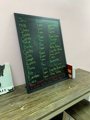 Menu photo 3 Beans Cat Cafe Beacon, NY