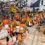 Heinz Brothers Greenhouse Garden Center