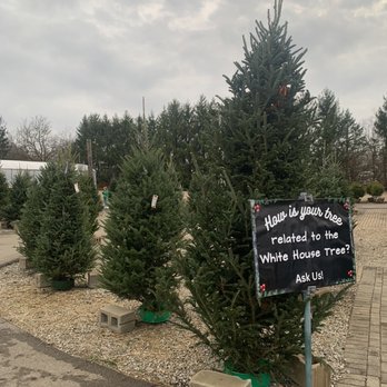 Rhoads Garden Center - Christmas trees! - Fruits & Veggies Near Me - Circleville, Ohio