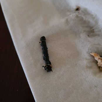 China East - A stick that was in my cashew chicken - Chinese Near Me - Carson City, Nevada China East - A stick that was in my cashew chicken - Chinese Near Me - Carson City, Nevada