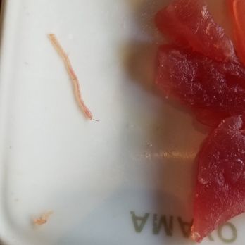 Oyama Sushi - Worm in the Tuna... - Sushi Bars Near Me - Walnut Creek, California Oyama Sushi - Worm in the Tuna... - Sushi Bars Near Me - Walnut Creek, California