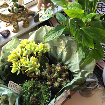 Ron's - Nurseries & Gardening Near Me - Arroyo Grande, California Ron's - Nurseries & Gardening Near Me - Arroyo Grande, California