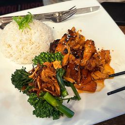 fancy feast gravy lovers, rice and brocollini fancy feast gravy lovers, rice and brocollini