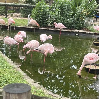 Zoo World - Zoos Near Me - Panama City Beach, Florida Zoo World - Zoos Near Me - Panama City Beach, Florida