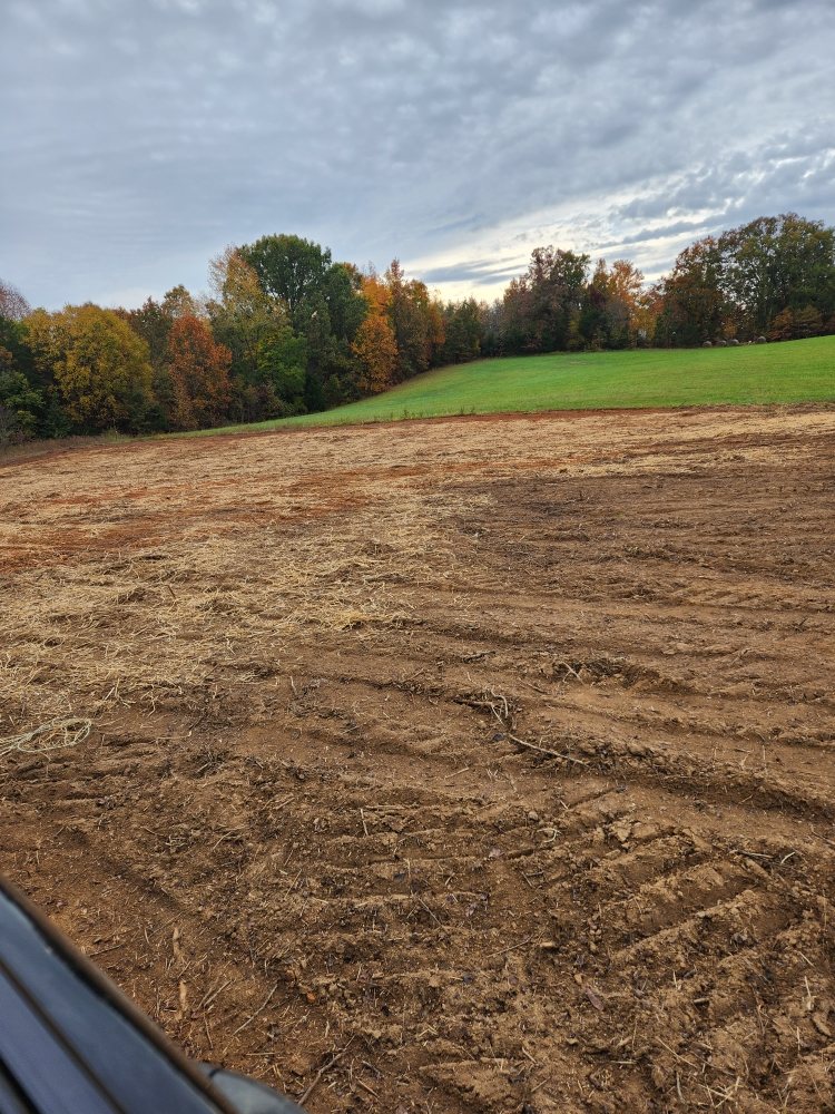 Slide of 13 Moons Grading