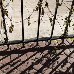 Lopez Concrete & Brick Paving - pavers cut around fence.  really nice attention to detail!