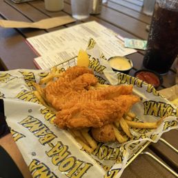 Gulf Grouper Platter with fries and hush puppies Gulf Grouper Platter with fries and hush puppies