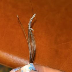 FS Cut & Color - Damaged hair