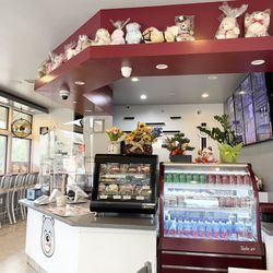 BearyLicious - Inside Counter