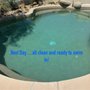 Blue Eagle Pool Service