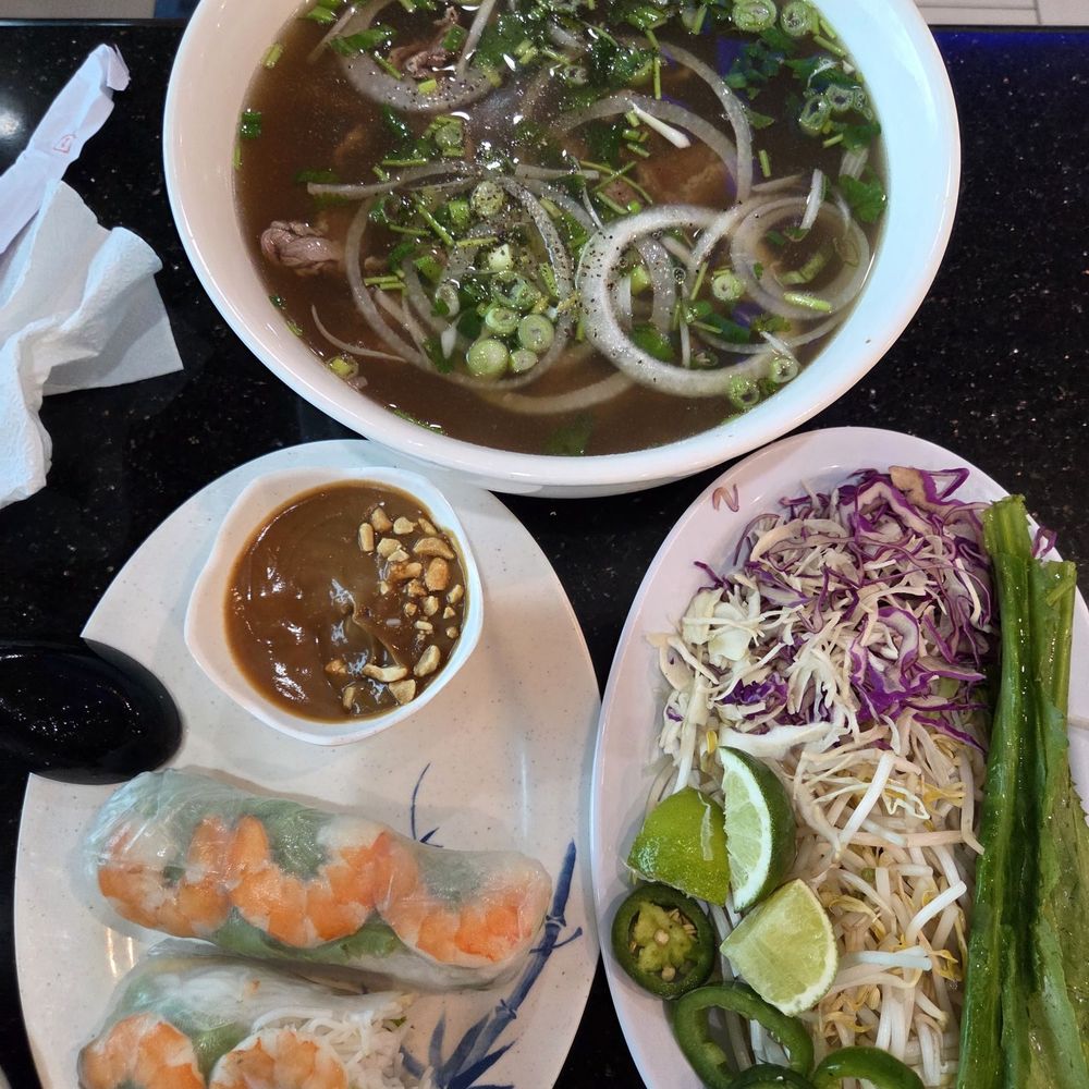 Pho Dien - Katy - Spring rolls and Pho Tai (Rare beef Phơ) - Vietnamese Near Me - Katy, Texas
