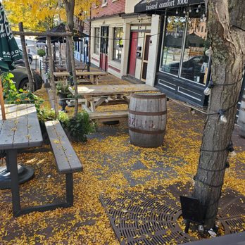 Mule Bar - a black cat sitting on a bench under a tree - Bars Near Me - Winooski, Vermont Mule Bar - a black cat sitting on a bench under a tree - Bars Near Me - Winooski, Vermont