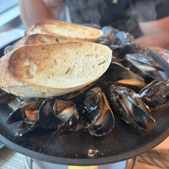Canvas - Prince Edward Island Mussels, Timpano Style - New American Near Me - Orlando, Florida
