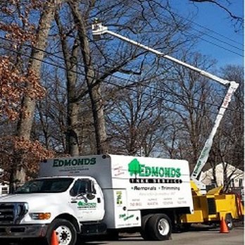 Edmonds Tree Service - Tree Services Near Me - Valparaiso, Indiana Edmonds Tree Service - Tree Services Near Me - Valparaiso, Indiana