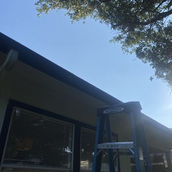 Mike's Tree Service - Roof Clearance - Tree Services Near Me - Leander, Texas